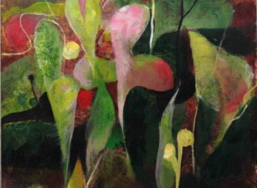 Barvy a tvary v přírodě